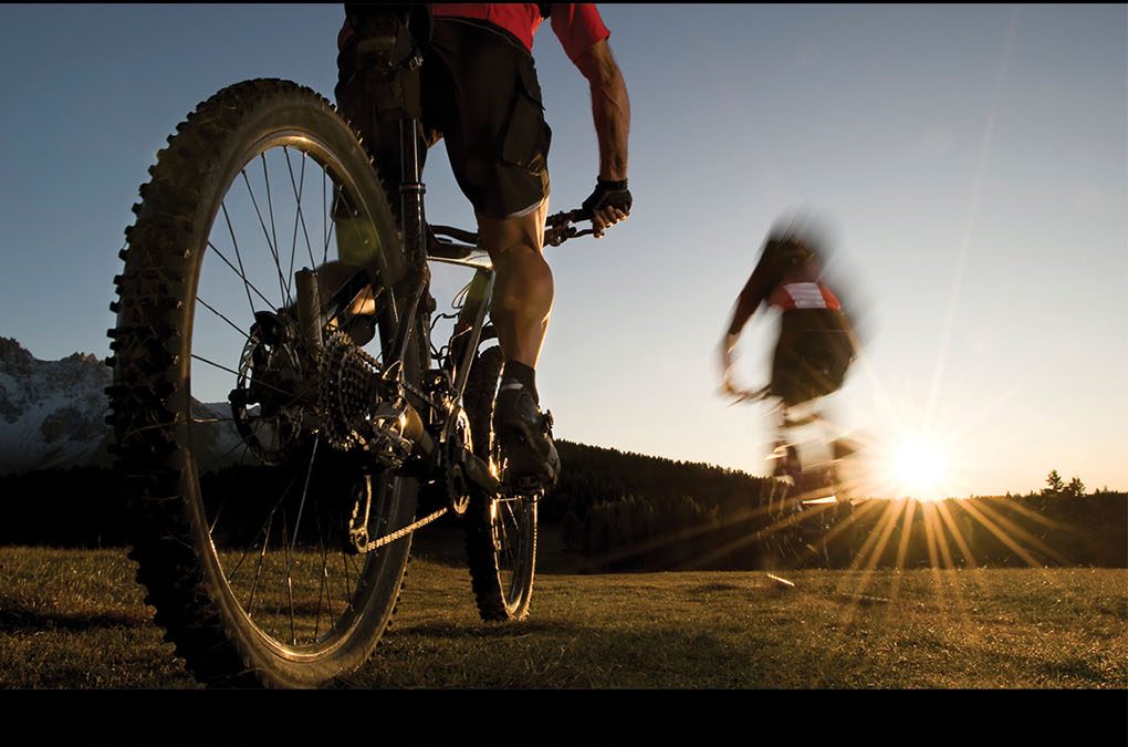 2019 – Volume 3, Issue 1 Proceedings of the 2019 Annual Conference of Sport and Exercise Science New Zealand