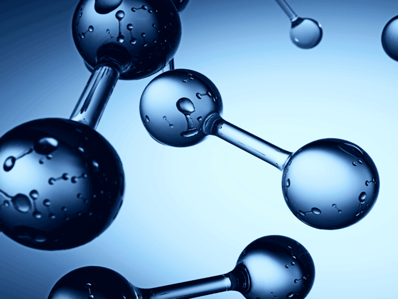 From Molecules to Medals: Muscle Adaptation to Exercise Webinar